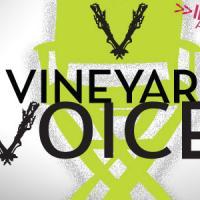 Jeremy McCarter Set To Moderate Next Vineyard Voices "The Art Of Casting" 11/2 Video